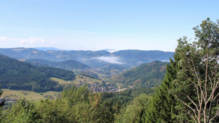 Dieses Bild zeigt eine Webcam-Aufnahme vom Achertal, aufgenommen am Mittwoch, den 26.08.2026 um 11:30 Uhr. Die Temperatur betrug 24.9°C.