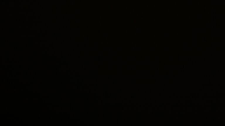 Dieses Bild zeigt eine Webcam-Aufnahme vom Achertal, aufgenommen am Donnerstag, den 20.11.2025 um 01:30 Uhr. Die Temperatur betrug -2.4°C.