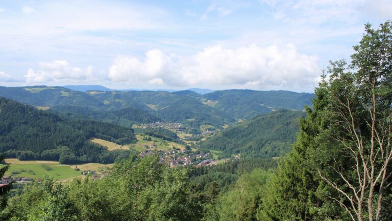 Dieses Bild zeigt eine Webcam-Aufnahme vom Achertal, aufgenommen am Montag, den 29.06.2026 um 10:50 Uhr. Die Temperatur betrug 22°C.
