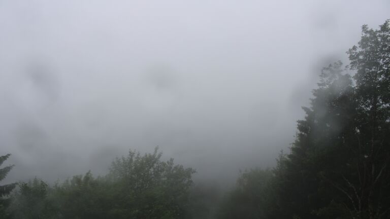 Dieses Bild zeigt eine Webcam-Aufnahme vom Achertal, aufgenommen am Freitag, den 12.06.2026 um 11:20 Uhr. Die Temperatur betrug 10°C.