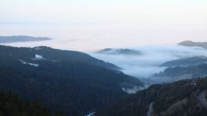 Dieses Bild zeigt eine Webcam-Aufnahme vom Achertal, aufgenommen am Montag, den 19.01.2026 um 08:50 Uhr. Die Temperatur betrug 3.9°C.