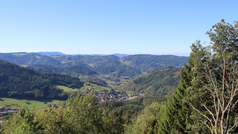 Dieses Bild zeigt eine Webcam-Aufnahme vom Achertal, aufgenommen am Dienstag, den 15.09.2026 um 11:10 Uhr. Die Temperatur betrug 25.6°C.