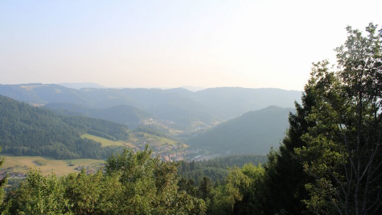 Dieses Bild zeigt eine Webcam-Aufnahme vom Achertal, aufgenommen am Donnerstag, den 30.07.2026 um 19:20 Uhr. Die Temperatur betrug 29°C.