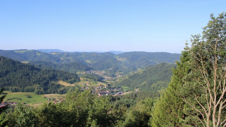 Dieses Bild zeigt eine Webcam-Aufnahme vom Achertal, aufgenommen am Donnerstag, den 18.06.2026 um 08:20 Uhr. Die Temperatur betrug 26.2°C.