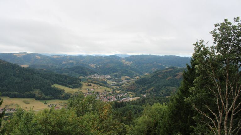 Dieses Bild zeigt eine Webcam-Aufnahme vom Achertal, aufgenommen am Donnerstag, den 20.08.2026 um 11:00 Uhr. Die Temperatur betrug 15.5°C.