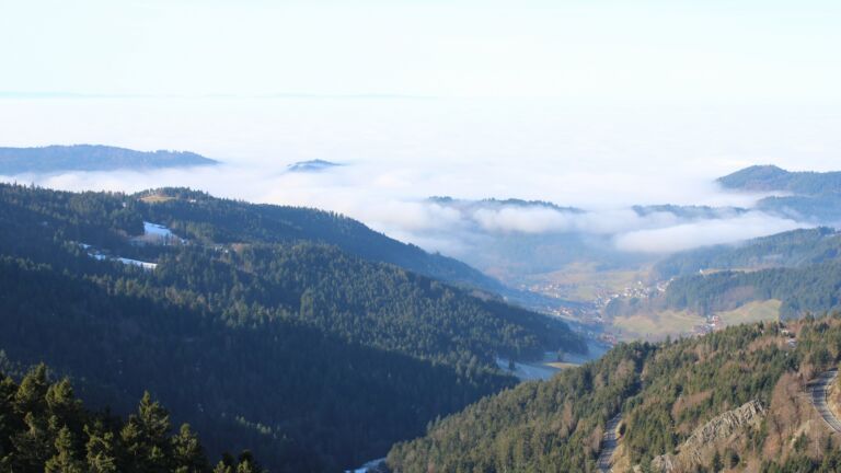 Dieses Bild zeigt eine Webcam-Aufnahme vom Achertal, aufgenommen am Montag, den 19.01.2026 um 11:50 Uhr. Die Temperatur betrug 8.9°C.