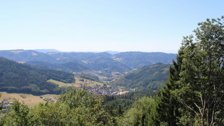 Dieses Bild zeigt eine Webcam-Aufnahme vom Achertal, aufgenommen am Donnerstag, den 13.08.2026 um 14:00 Uhr. Die Temperatur betrug 33.5°C.