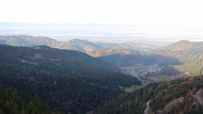 Dieses Bild zeigt eine Webcam-Aufnahme vom Achertal, aufgenommen am Mittwoch, den 12.11.2025 um 08:30 Uhr. Die Temperatur betrug 11.8°C.