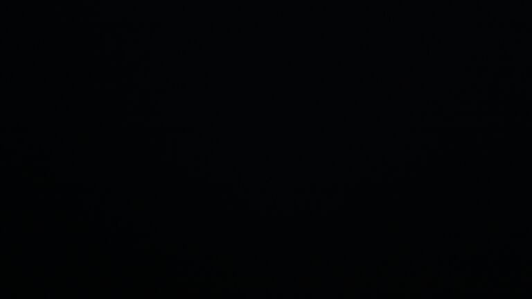 Dieses Bild zeigt eine Webcam-Aufnahme vom Achertal, aufgenommen am Dienstag, den 23.12.2025 um 18:00 Uhr. Die Temperatur betrug -3.6°C.