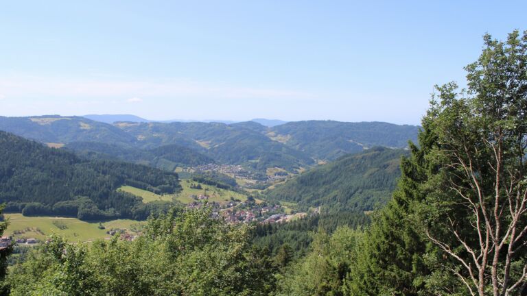 Dieses Bild zeigt eine Webcam-Aufnahme vom Achertal, aufgenommen am Montag, den 20.07.2026 um 12:20 Uhr. Die Temperatur betrug 20.2°C.