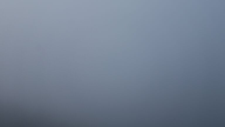 Dieses Bild zeigt eine Webcam-Aufnahme vom Achertal, aufgenommen am Donnerstag, den 04.12.2025 um 16:50 Uhr. Die Temperatur betrug 0°C.