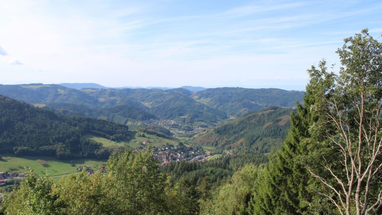 Dieses Bild zeigt eine Webcam-Aufnahme vom Achertal, aufgenommen am Donnerstag, den 17.09.2026 um 11:10 Uhr. Die Temperatur betrug 17.5°C.