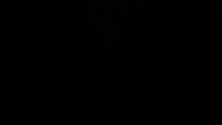 Dieses Bild zeigt eine Webcam-Aufnahme vom Achertal, aufgenommen am Samstag, den 29.11.2025 um 04:00 Uhr. Die Temperatur betrug 3.7°C.