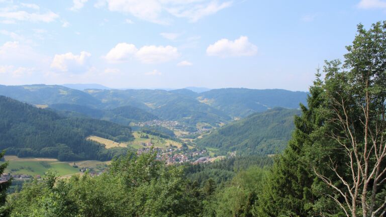 Dieses Bild zeigt eine Webcam-Aufnahme vom Achertal, aufgenommen am Dienstag, den 30.06.2026 um 11:50 Uhr. Die Temperatur betrug 24.2°C.