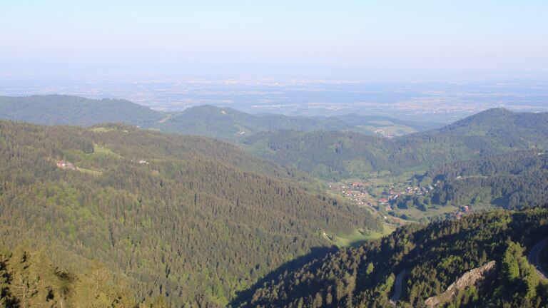 Dieses Bild zeigt eine Webcam-Aufnahme vom Achertal, aufgenommen am Sonntag, den 11.05.2025 um 07:40 Uhr. Die Temperatur betrug 10.6°C.