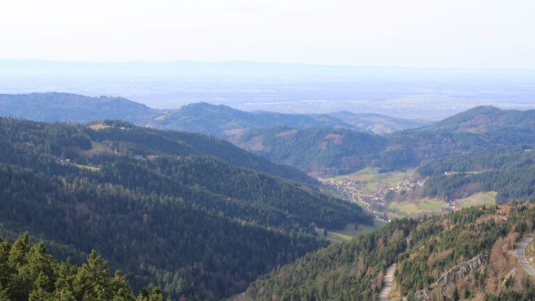 Dieses Bild zeigt eine Webcam-Aufnahme vom Achertal, aufgenommen am Donnerstag, den 13.11.2025 um 13:00 Uhr. Die Temperatur betrug 16.5°C.