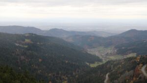 Dieses Bild zeigt eine Webcam-Aufnahme vom Achertal, aufgenommen am Samstag, den 01.11.2025 um 14:40 Uhr. Die Temperatur betrug 11.6°C.