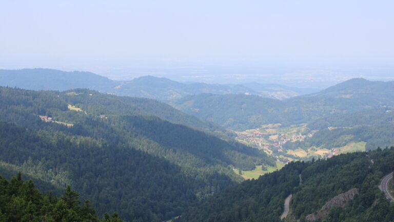 Dieses Bild zeigt eine Webcam-Aufnahme vom Achertal, aufgenommen am Donnerstag, den 19.06.2025 um 12:00 Uhr. Die Temperatur betrug 21°C.