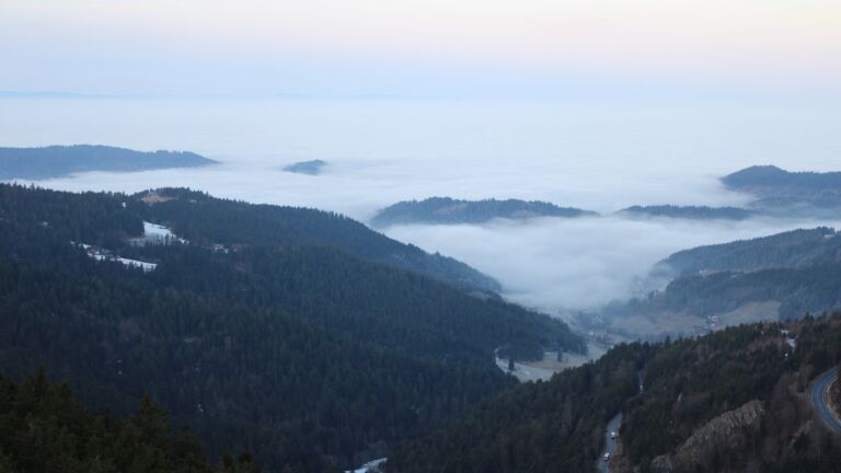 Dieses Bild zeigt eine Webcam-Aufnahme vom Achertal, aufgenommen am Montag, den 19.01.2026 um 08:30 Uhr. Die Temperatur betrug 3.9°C.