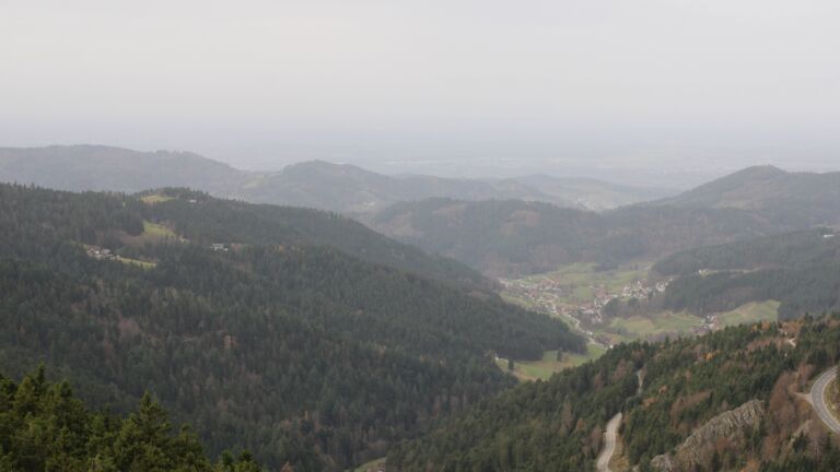 Dieses Bild zeigt eine Webcam-Aufnahme vom Achertal, aufgenommen am Freitag, den 14.11.2025 um 12:00 Uhr. Die Temperatur betrug 16.8°C.