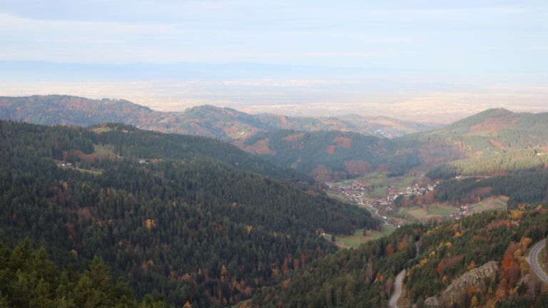 Dieses Bild zeigt eine Webcam-Aufnahme vom Achertal, aufgenommen am Samstag, den 01.11.2025 um 08:00 Uhr. Die Temperatur betrug 12.5°C.