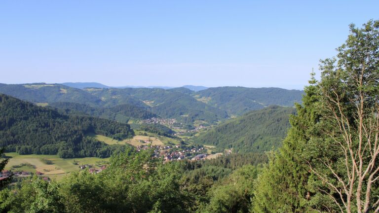 Dieses Bild zeigt eine Webcam-Aufnahme vom Achertal, aufgenommen am Donnerstag, den 28.05.2026 um 08:50 Uhr. Die Temperatur betrug 24.2°C.