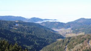 Dieses Bild zeigt eine Webcam-Aufnahme vom Achertal, aufgenommen am Sonntag, den 08.02.2026 um 11:30 Uhr. Die Temperatur betrug 4.6°C.