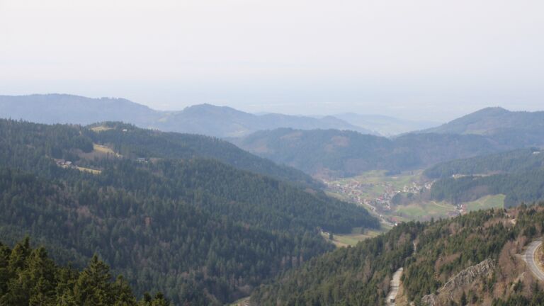 Dieses Bild zeigt eine Webcam-Aufnahme vom Achertal, aufgenommen am Freitag, den 06.03.2026 um 12:50 Uhr. Die Temperatur betrug 15.2°C.