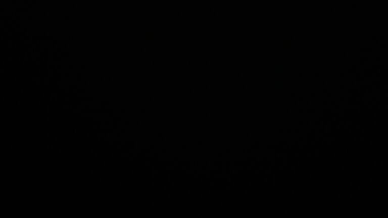 Dieses Bild zeigt eine Webcam-Aufnahme vom Achertal, aufgenommen am Mittwoch, den 04.06.2025 um 23:30 Uhr. Die Temperatur betrug 11.2°C.