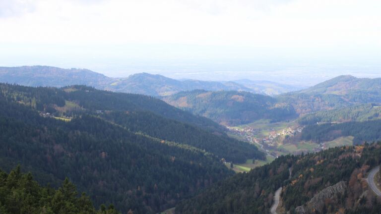 Dieses Bild zeigt eine Webcam-Aufnahme vom Achertal, aufgenommen am Dienstag, den 11.11.2025 um 12:30 Uhr. Die Temperatur betrug 6.9°C.