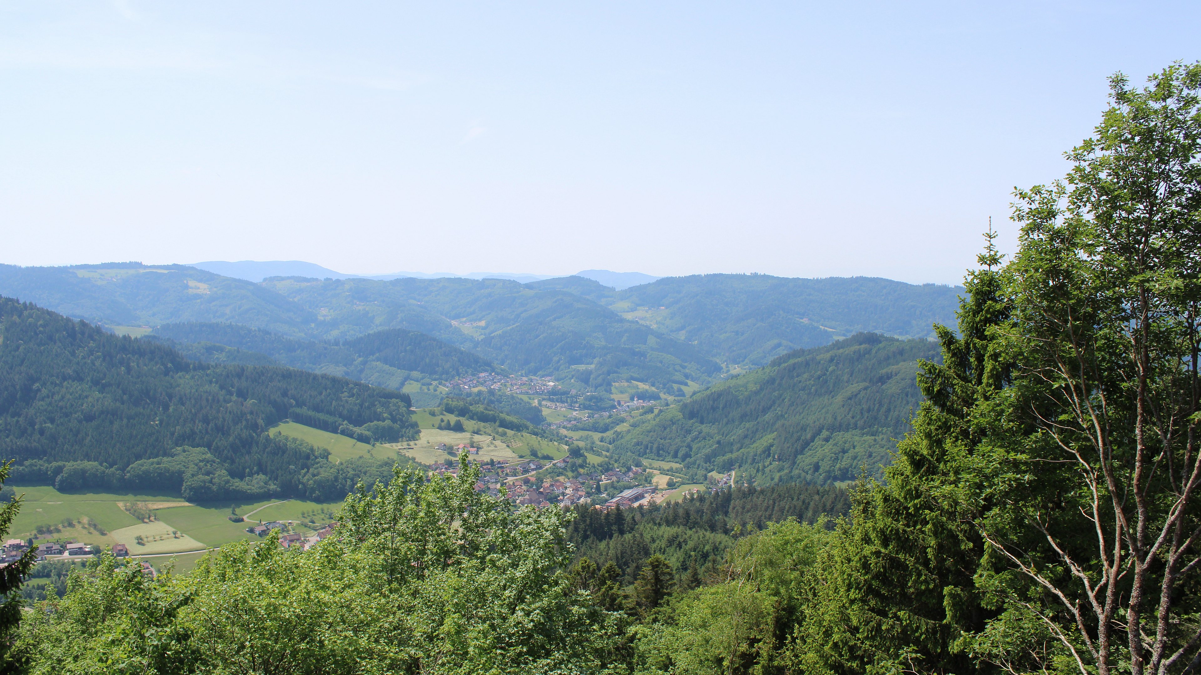 Zum Fotoarchiv vom Sonntag, 24. Mai 2026