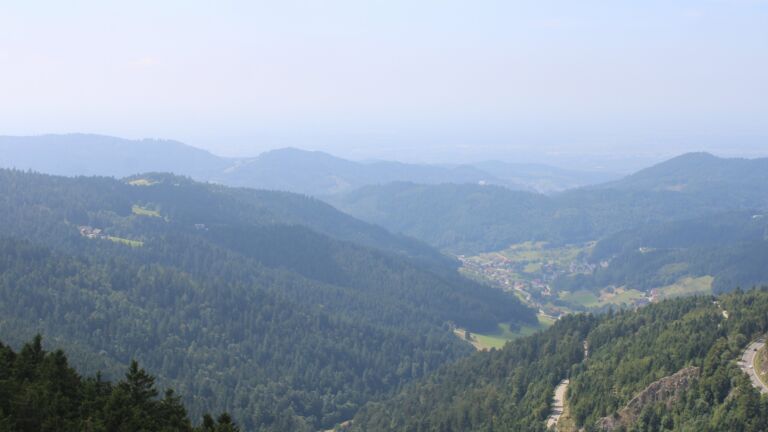 Dieses Bild zeigt eine Webcam-Aufnahme vom Achertal, aufgenommen am Sonntag, den 17.08.2025 um 14:50 Uhr. Die Temperatur betrug 18°C.
