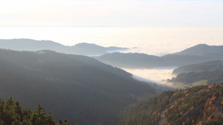 Dieses Bild zeigt eine Webcam-Aufnahme vom Achertal, aufgenommen am Freitag, den 07.11.2025 um 16:00 Uhr. Die Temperatur betrug 12.4°C.