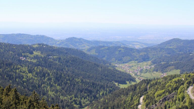 Dieses Bild zeigt eine Webcam-Aufnahme vom Achertal, aufgenommen am Freitag, den 01.05.2026 um 14:50 Uhr. Die Temperatur betrug 17°C.