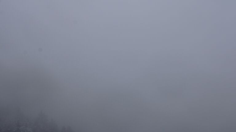 Dieses Bild zeigt eine Webcam-Aufnahme vom Achertal, aufgenommen am Dienstag, den 25.11.2025 um 11:00 Uhr. Die Temperatur betrug 0°C.