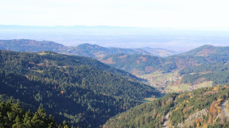 Dieses Bild zeigt eine Webcam-Aufnahme vom Achertal, aufgenommen am Dienstag, den 04.11.2025 um 10:50 Uhr. Die Temperatur betrug 10.1°C.