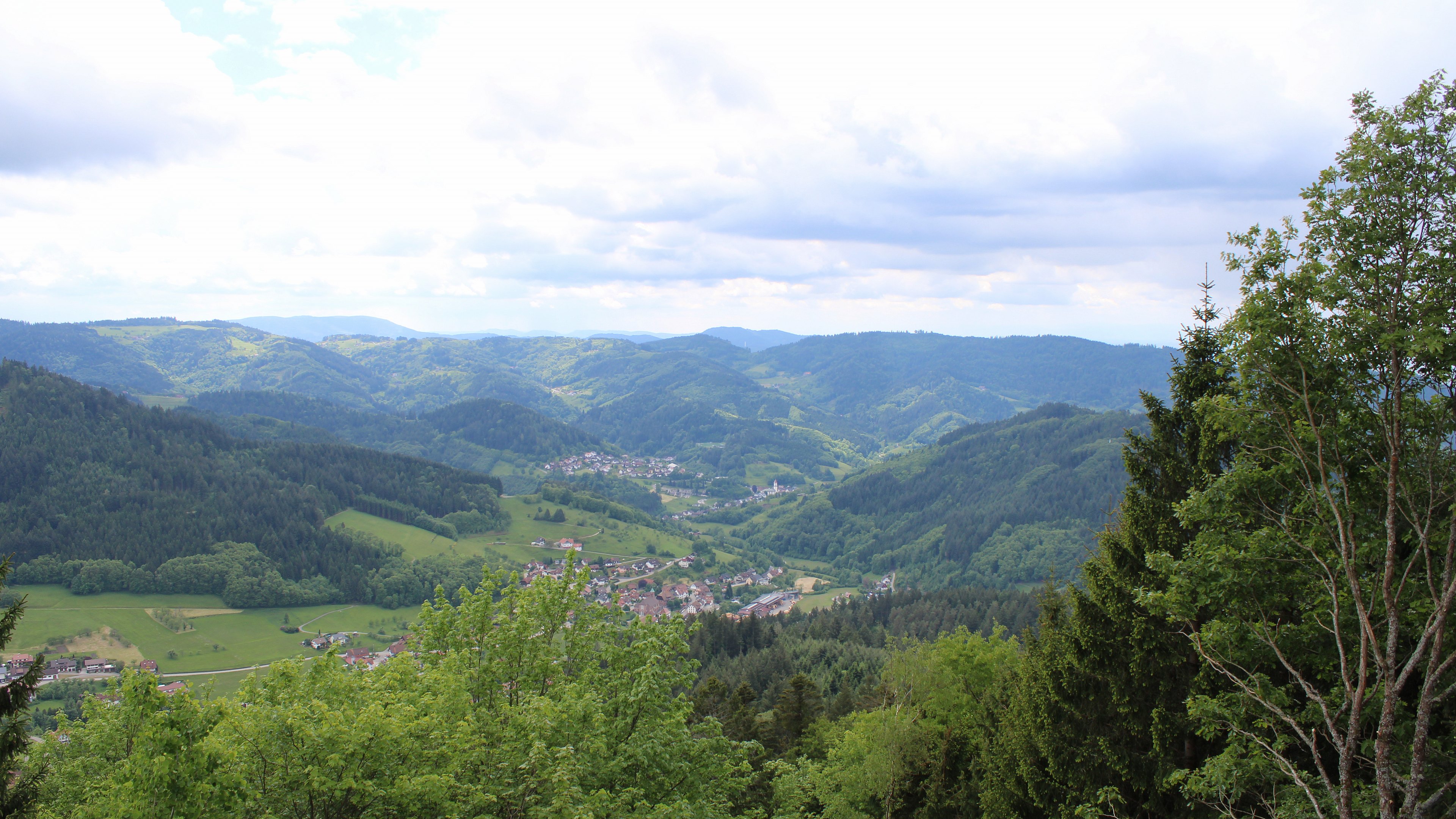 Zum Fotoarchiv vom Samstag, 16. Mai 2026
