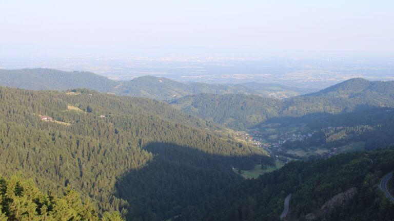 Dieses Bild zeigt eine Webcam-Aufnahme vom Achertal, aufgenommen am Freitag, den 20.06.2025 um 06:50 Uhr. Die Temperatur betrug 13.8°C.