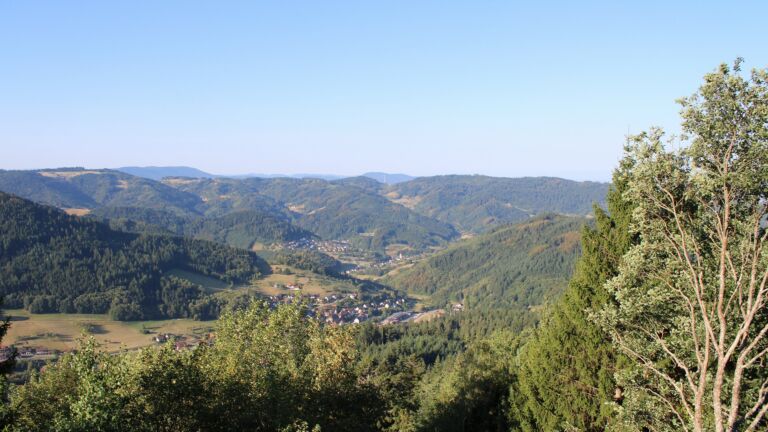 Dieses Bild zeigt eine Webcam-Aufnahme vom Achertal, aufgenommen am Freitag, den 14.08.2026 um 08:30 Uhr. Die Temperatur betrug 28.2°C.