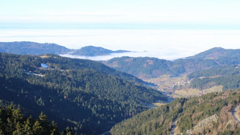 Dieses Bild zeigt eine Webcam-Aufnahme vom Achertal, aufgenommen am Donnerstag, den 05.02.2026 um 11:00 Uhr. Die Temperatur betrug 6.5°C.