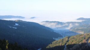 Dieses Bild zeigt eine Webcam-Aufnahme vom Achertal, aufgenommen am Montag, den 19.01.2026 um 09:50 Uhr. Die Temperatur betrug 5°C.