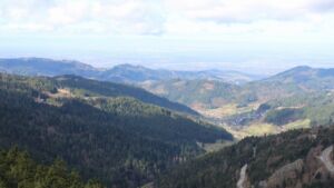 Dieses Bild zeigt eine Webcam-Aufnahme vom Achertal, aufgenommen am Sonntag, den 01.03.2026 um 11:00 Uhr. Die Temperatur betrug 7.1°C.