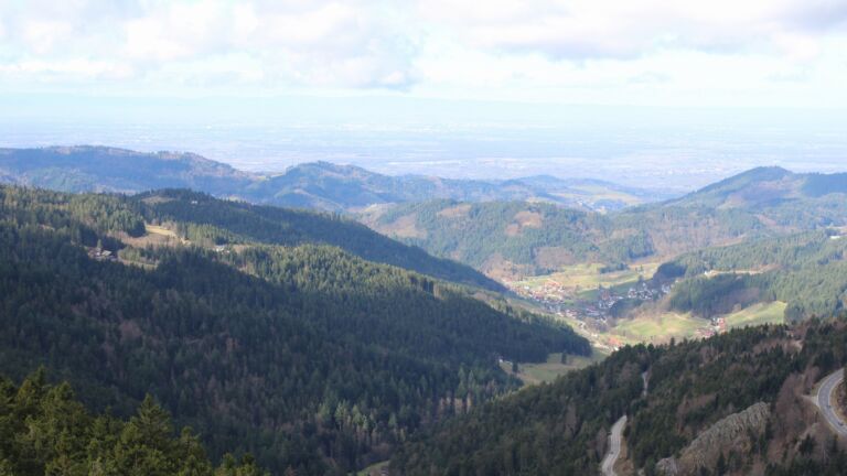 Dieses Bild zeigt eine Webcam-Aufnahme vom Achertal, aufgenommen am Sonntag, den 01.03.2026 um 11:00 Uhr. Die Temperatur betrug 7.1°C.