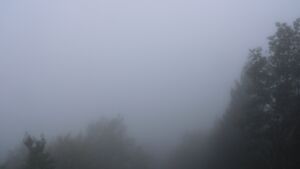 Dieses Bild zeigt eine Webcam-Aufnahme vom Achertal, aufgenommen am Sonntag, den 18.10.2026 um 14:50 Uhr. Die Temperatur betrug 8.1°C.