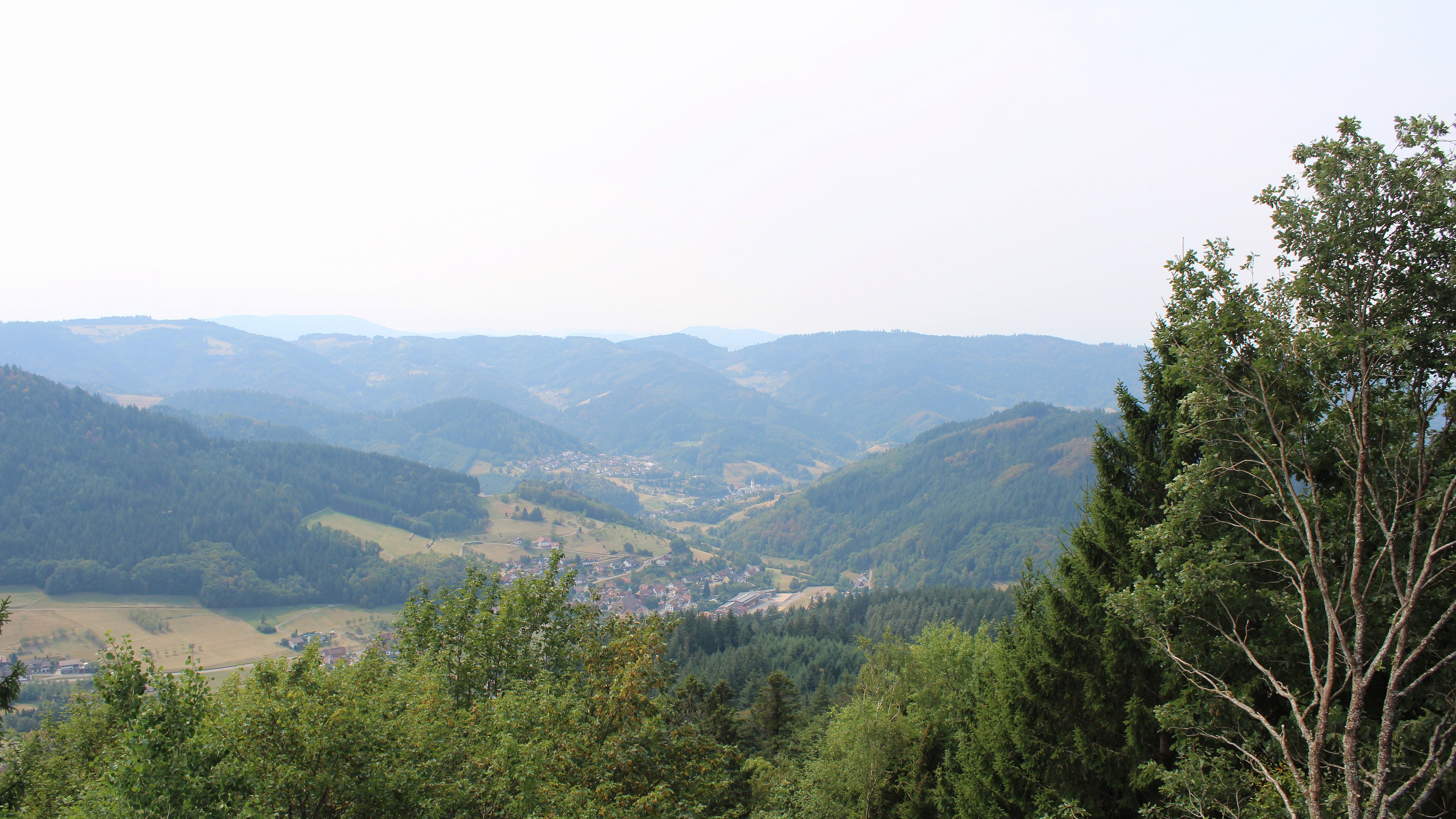 Zum Fotoarchiv vom Sonntag, 16. August 2026