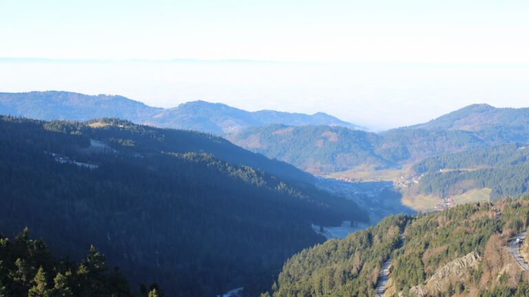 Dieses Bild zeigt eine Webcam-Aufnahme vom Achertal, aufgenommen am Montag, den 29.12.2025 um 11:00 Uhr. Die Temperatur betrug 2.9°C.