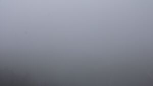 Dieses Bild zeigt eine Webcam-Aufnahme vom Achertal, aufgenommen am Dienstag, den 03.02.2026 um 13:50 Uhr. Die Temperatur betrug 1.3°C.