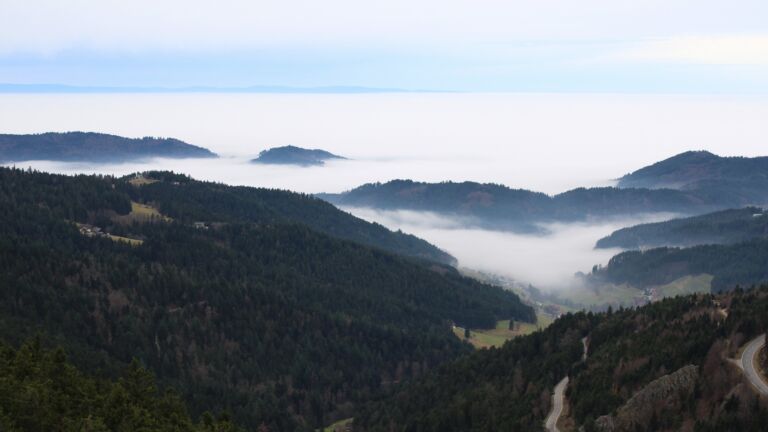 Dieses Bild zeigt eine Webcam-Aufnahme vom Achertal, aufgenommen am Dienstag, den 16.12.2025 um 11:40 Uhr. Die Temperatur betrug 11.2°C.