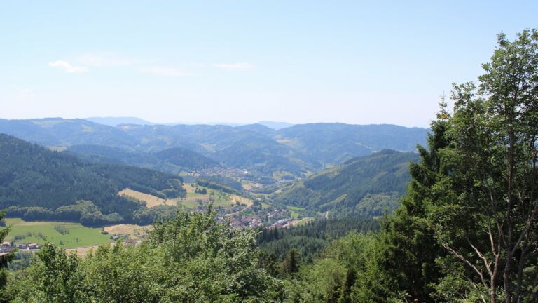 Dieses Bild zeigt eine Webcam-Aufnahme vom Achertal, aufgenommen am Sonntag, den 21.06.2026 um 13:50 Uhr. Die Temperatur betrug 31°C.