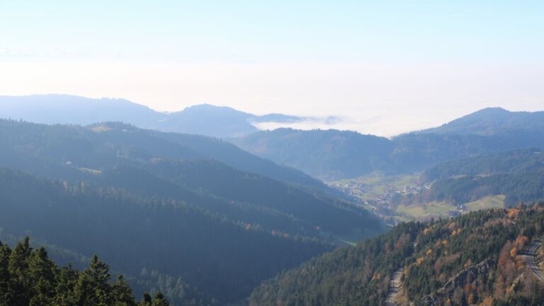 Dieses Bild zeigt eine Webcam-Aufnahme vom Achertal, aufgenommen am Samstag, den 08.11.2025 um 14:10 Uhr. Die Temperatur betrug 9.1°C.